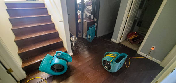 Best Water damage restoration near me  in South Hill, WA