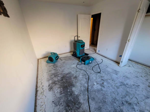 Best 24-hour water damage restoration  in South Hill, WA