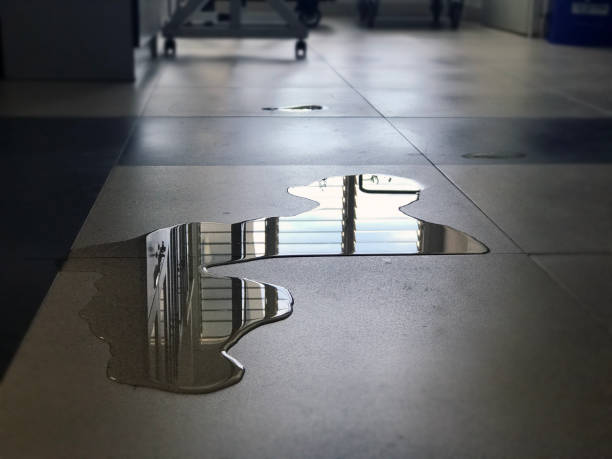 24/7 water damage repair in South Hill, WA